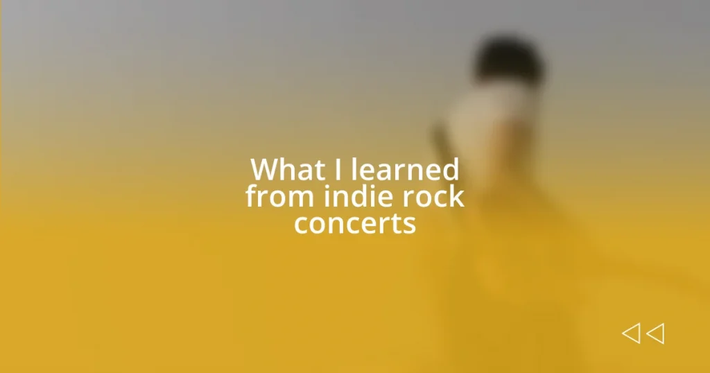 What I learned from indie rock concerts