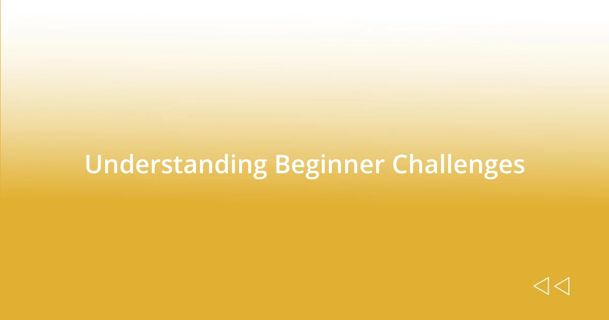 Understanding Beginner Challenges